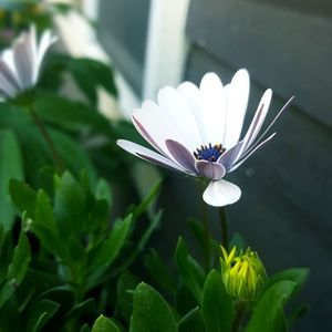 Meet your Posher, Tava